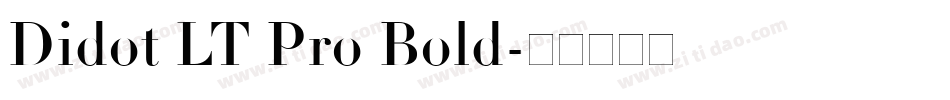 Didot LT Pro Bold字体转换